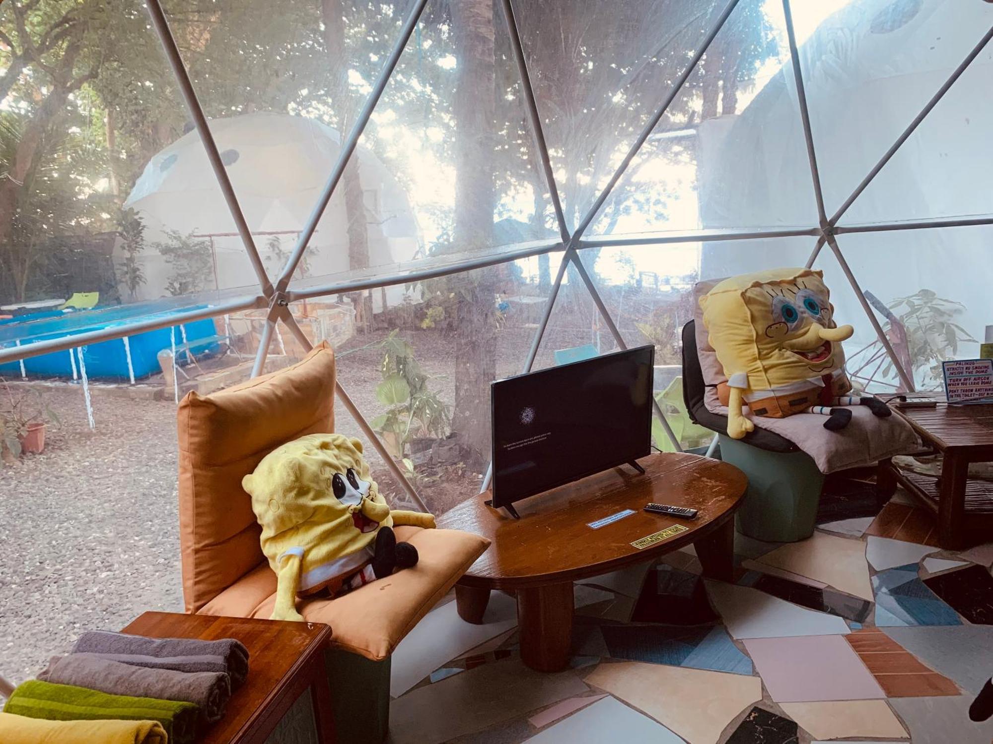 Glamping Dome Dauin Beach Resort エクステリア 写真