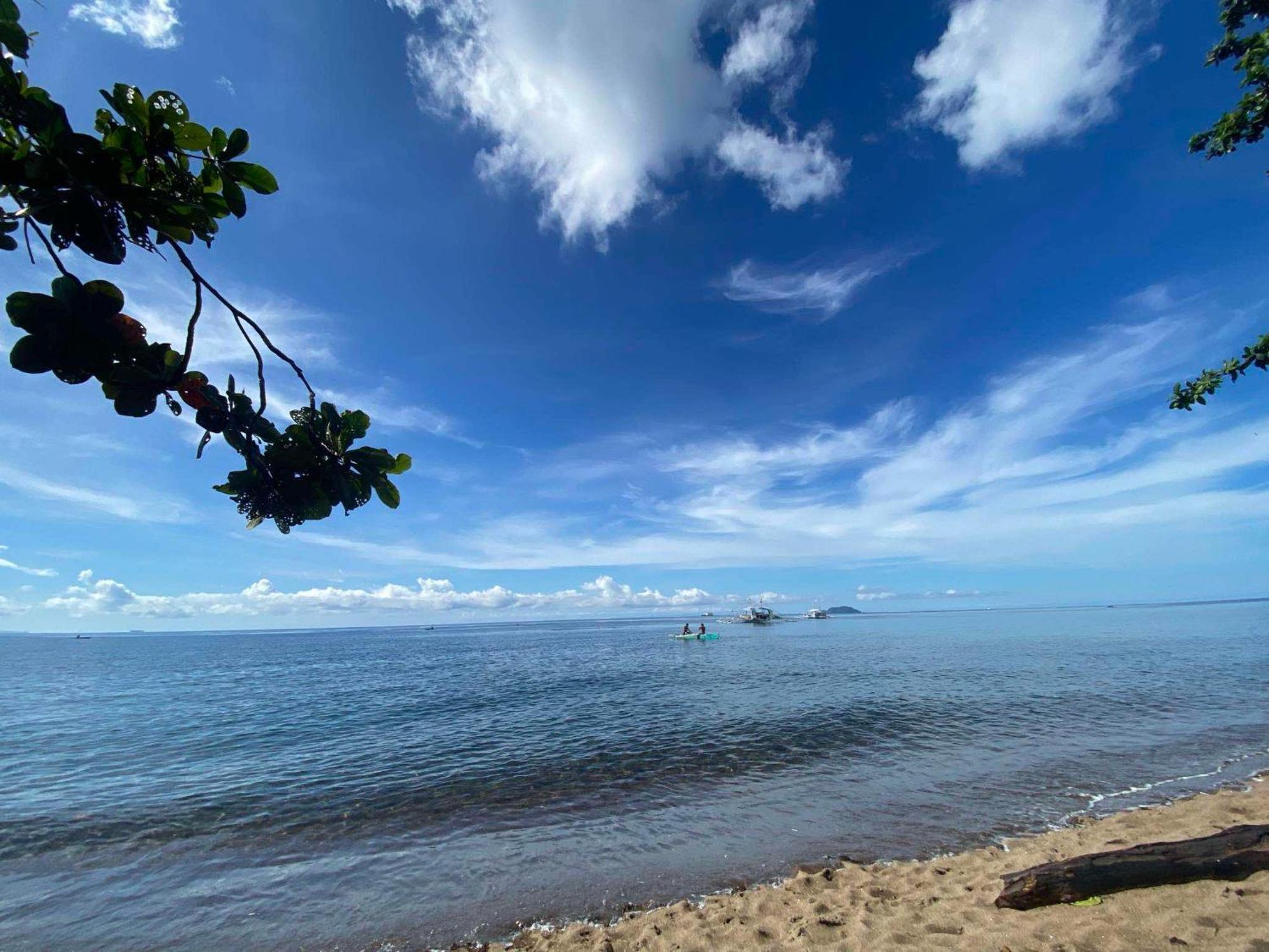 Glamping Dome Dauin Beach Resort エクステリア 写真